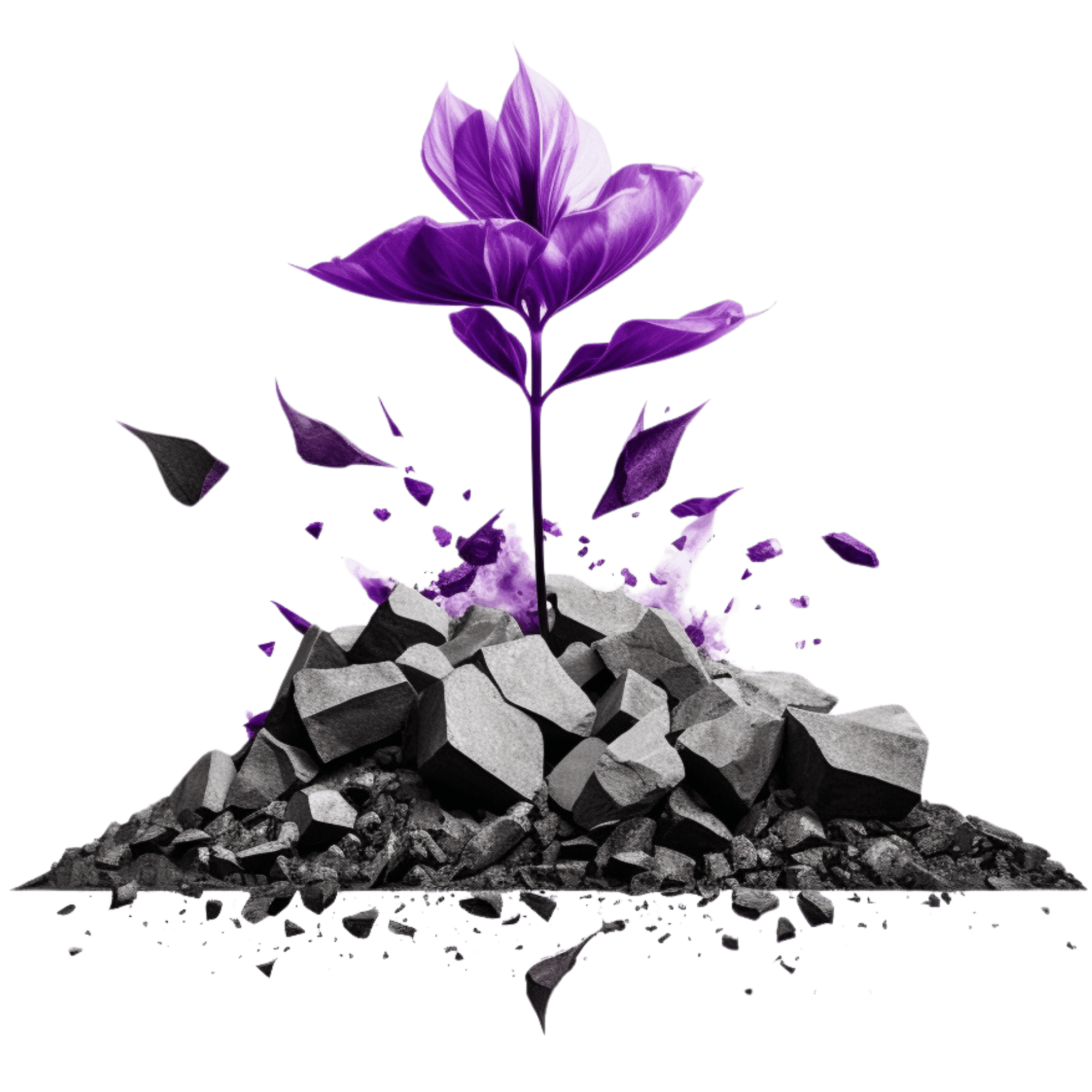 avant now flower reverse